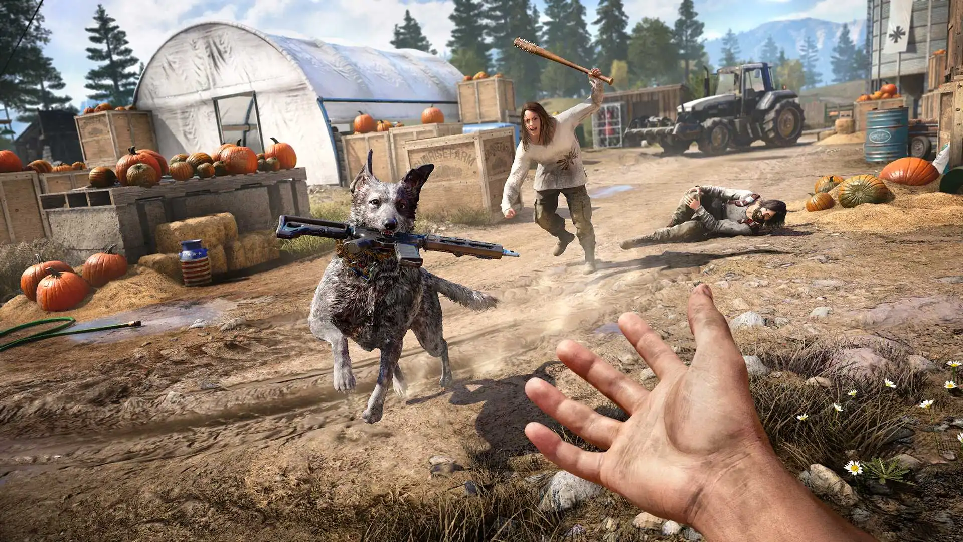 Far Cry 5 image 2